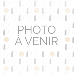 Photo non disponible indication visuelle temporaire.