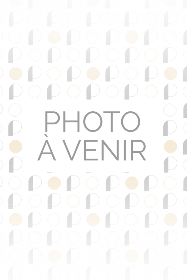 Photo non disponible indication visuelle temporaire.